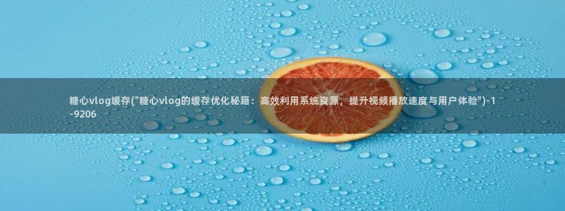 糖心vlgo免费观看姐姐的朋友