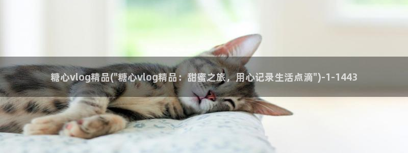 糖心vlgo尤