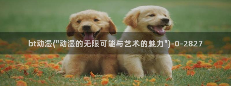 斗罗大陆2绝世唐门动漫：bt动漫(\