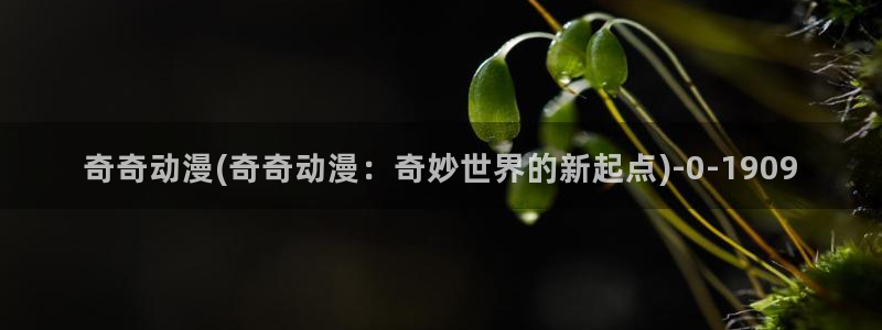 免费看动漫